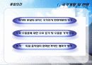 인도네시아(Indonesia) FDI 11페이지
