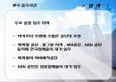 인도네시아(Indonesia) FDI 20페이지
