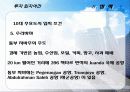 인도네시아(Indonesia) FDI 25페이지