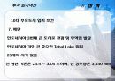 인도네시아(Indonesia) FDI 27페이지