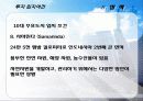 인도네시아(Indonesia) FDI 28페이지