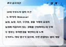 인도네시아(Indonesia) FDI 29페이지