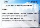 인도네시아(Indonesia) FDI 41페이지