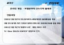 인도네시아(Indonesia) FDI 42페이지