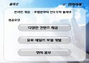 인도네시아(Indonesia) FDI 44페이지