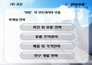 인도네시아(Indonesia) FDI 47페이지