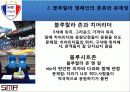 블루랄라 캠페인과 sk나이츠를 통한 새로운 홍보 전략 제시 5페이지