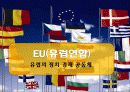 EU (European Union) 유럽연합 3페이지