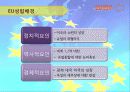 EU (European Union) 유럽연합 5페이지