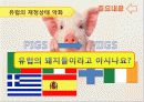 EU (European Union) 유럽연합 12페이지
