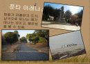 세계여행과 경영 - 주목할 여행지 27페이지