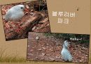 세계여행과 경영 - 주목할 여행지 30페이지