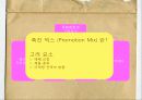 국제촉진관리 4페이지