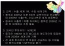BBQ(비비큐) 치킨 - 중국 베이징 시장진출 11페이지