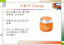 컬러 마케팅 7페이지