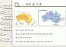 글로별 경영환경 - 국순당 막걸리, 호주시장 진출전략 11페이지