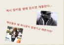 Orientalism (오리엔탈리즘) 16페이지