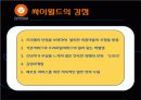 프리챌 (Freechal) 의 경영 실패 사례 분석 17페이지