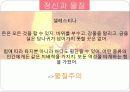 LA CELESTINA (라 셀레스티나) 11페이지