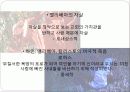 LA CELESTINA (라 셀레스티나) 18페이지