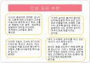 LA CELESTINA (라 셀레스티나) 29페이지
