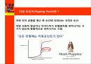 티핑 포인트(Tipping Point) & 첫 2초의 힘 블링크(Blink) & 아웃라이어(Outliers) 4페이지