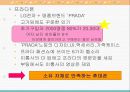 마케팅발표-향수폰,마케팅,브랜드,브랜드마케팅,기업,서비스마케팅,글로벌,경영,시장,사례,swot,stp,4p 12페이지