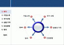 비데사업 - Paniccha 2페이지