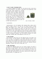 국립 경주 박물관,마케팅,브랜드,브랜드마케팅,기업,서비스마케팅,글로벌,경영,시장,사례,swot,stp,4p 6페이지