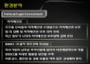 Winner‘s Soccer 남아공 진출 전략 8페이지