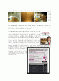 [마케팅관리] “감성 마케팅”, 감성마케팅 활용정도, 사례 8페이지