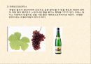 와인 레포트,마케팅,브랜드,브랜드마케팅,기업,서비스마케팅,글로벌,경영,시장,사례,swot,stp,4p 12페이지