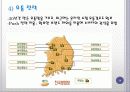 베지밀,마케팅,브랜드,브랜드마케팅,기업,서비스마케팅,글로벌,경영,시장,사례,swot,stp,4p 14페이지
