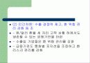 환율변동,마케팅,브랜드,브랜드마케팅,기업,서비스마케팅,글로벌,경영,시장,사례,swot,stp,4p 10페이지