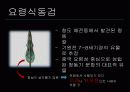 국립경주박물관!!,마케팅,브랜드,브랜드마케팅,기업,서비스마케팅,글로벌,경영,시장,사례,swot,stp,4p 6페이지