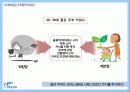 피죤(pigeon)의 브랜드 리포지셔닝 전략 - 피죤에게도 빼앗긴  봄은 다시오는가  13페이지