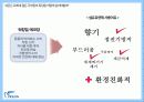 피죤(pigeon)의 브랜드 리포지셔닝 전략 - 피죤에게도 빼앗긴  봄은 다시오는가  14페이지