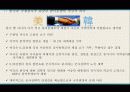 [동북아정세론] 21세기 새로운 한미관계의 모색 9페이지