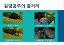 창조 서사의 인문학적 해석 - 에 나타난 신화적 요소 15페이지