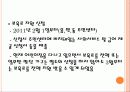 육아보육정책 19페이지