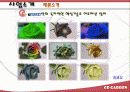 [기업분석] Charming Rose Carden - Cr garden 꽃이 아닌 마음을 파는 가게 11페이지