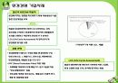 환경친화적 경영 및 사례기업, 기업경영 패러다임의 변천, 환경경영이란?, 기업들은 왜?, 환경경영 기업사례, 결론 17페이지