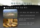 황룡사지(皇龍寺址)와 분황사지(芬皇寺址) 5페이지