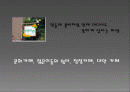 민들레 영토 2페이지
