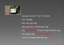 민들레 영토 4페이지