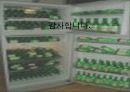 제목 : 소주 15페이지