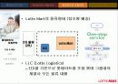 롯데마트 유통구조 13페이지