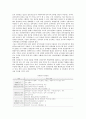 [전자정부] 전자정부의 문제점과 활성화 방안 6페이지