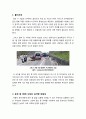 운전 중 DMB 시청의 위험성과 국내외 규제 현황 및 정부 대책의 문제점과 개선 방향 - 운전 중 DMB 시청의 문제점과 해결과제 2페이지