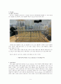 대장균군 MPN 5페이지
